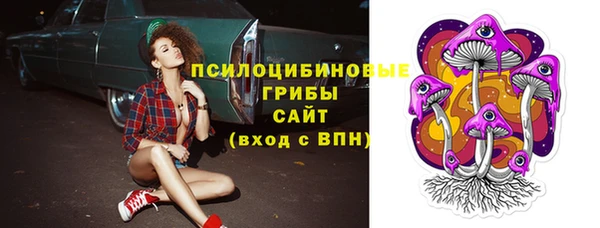 спиды Алзамай