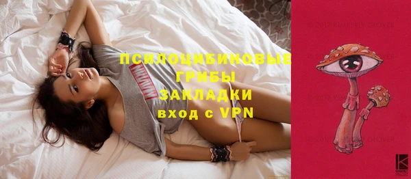 спиды Алзамай