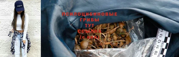 спиды Алзамай